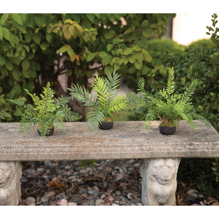 Primrue Faux Fern Plant Wayfair Canada